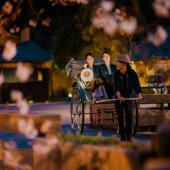 Những cách xa xỉ để ngắm hoa anh đào tại Nhật